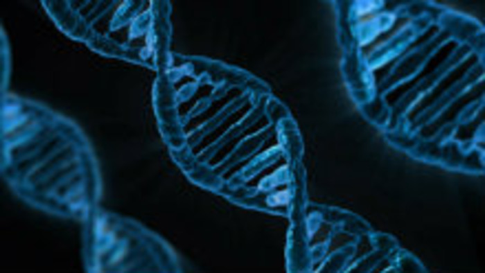 DNA oslavuje 65 rokov