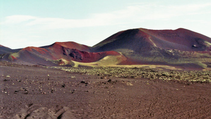 imm014_15.jpg
