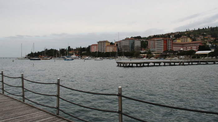 IMG_0715.JPG