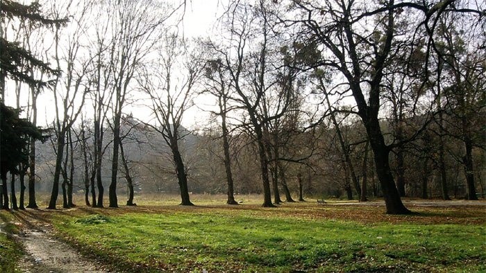 Výstavba v Kolmanovej záhrade