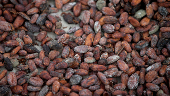 “Condesa” trae la ceremonia de cacao a Eslovaquia
