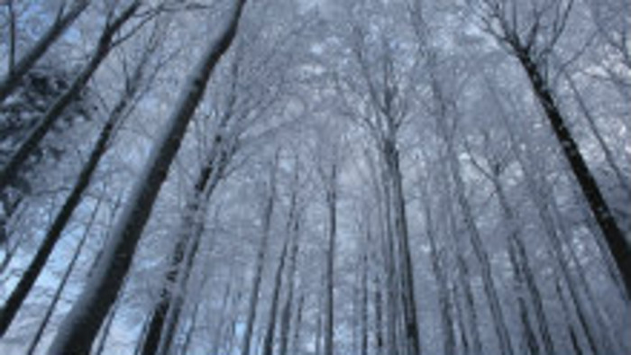 Rádiovíkend 17.12.2016 – pozvánky