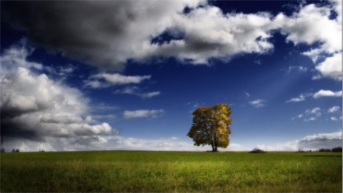 Audio Lesson 7 – Seasons Of The Year