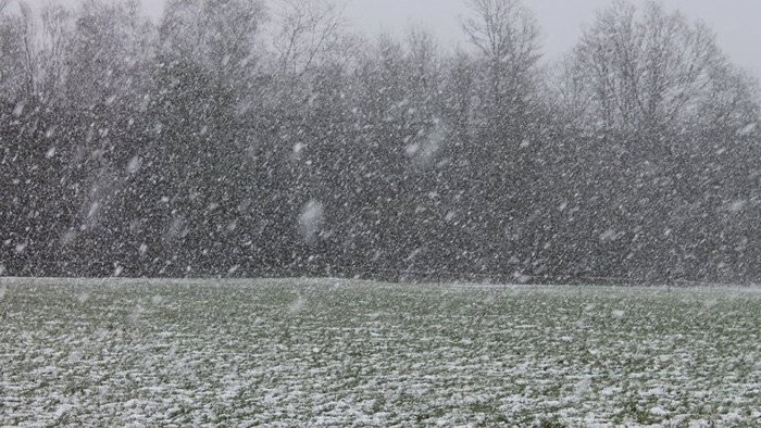 Kalamita Terchová, Kysuce