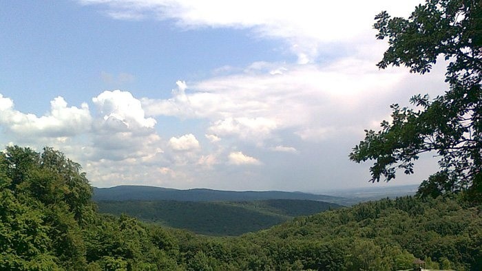 Krivda