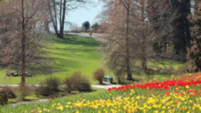 Predkovia skúšali predpovedať, aká bude Veľká noc