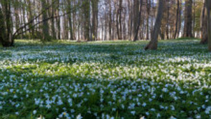 Rádiovíkend 26.3.2016 – pozvánky