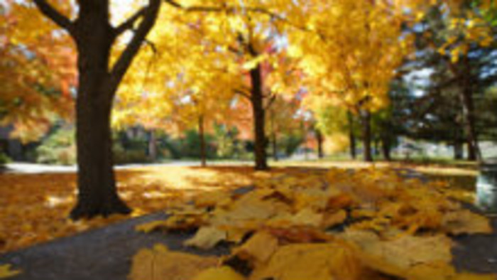 Rádiovíkend 11. 11. 2017 - pozvánky