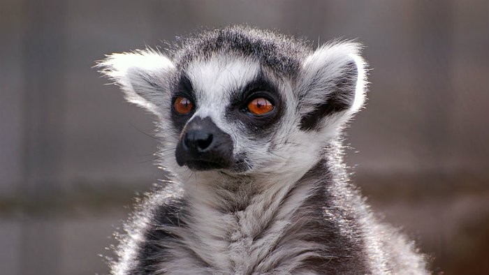Nové mláďatká v ZOO