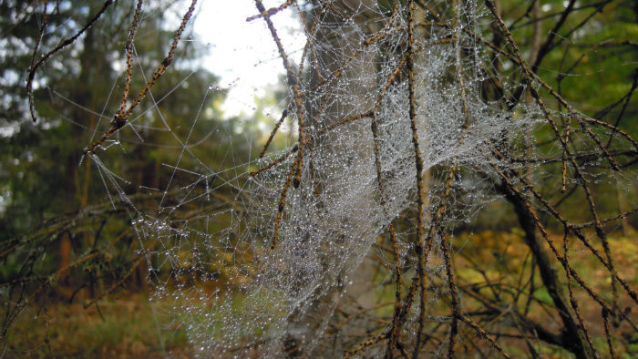 Rádiovíkend 17.10.2015 – pozvánky