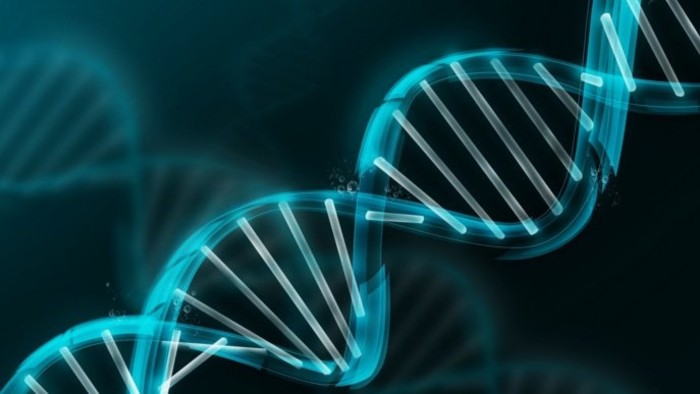 Behind the scenes: The Institute of Plant Genetics and Biotechnology