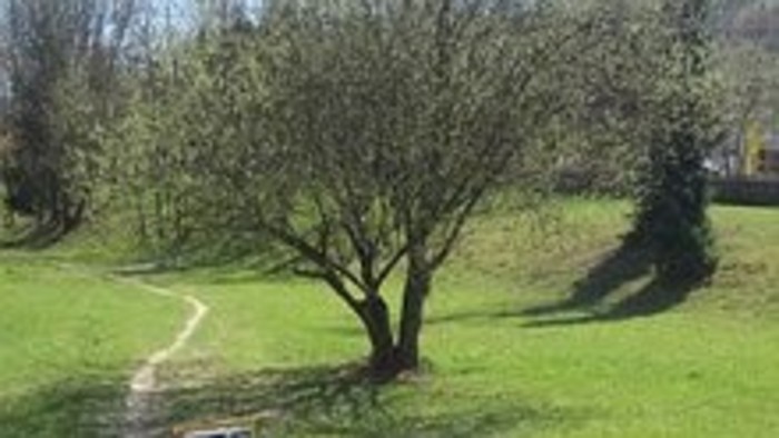 Participatívny rozpočet