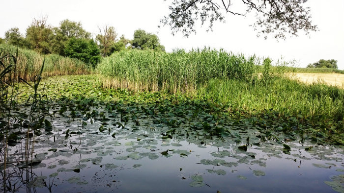 Cyklotrasa Nivou Moravy – zaujímavosti