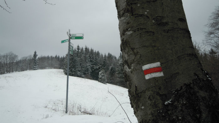 Snímka 7.JPG