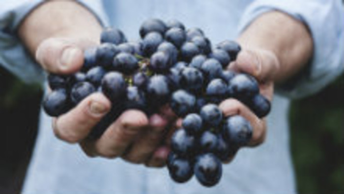 Klub Farmárov: Začínajú sa oberačky