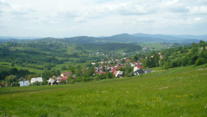 05.JPG