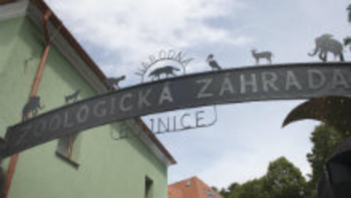 Aké atrakcie ponúka ZOO Bojnice v zime? 