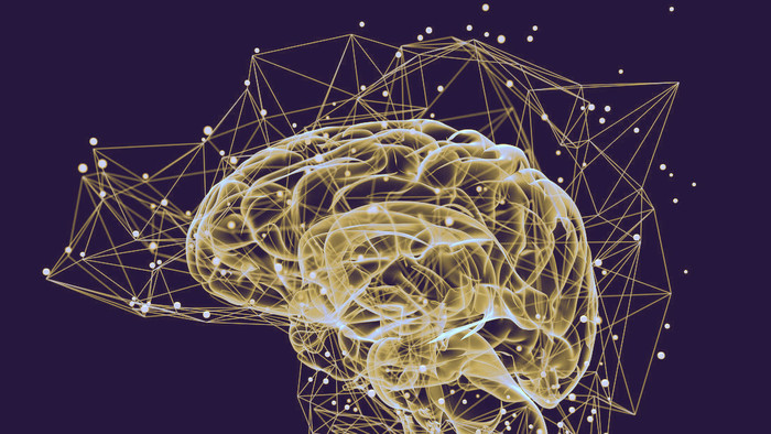 Symposion: Vedomie a nevedomie