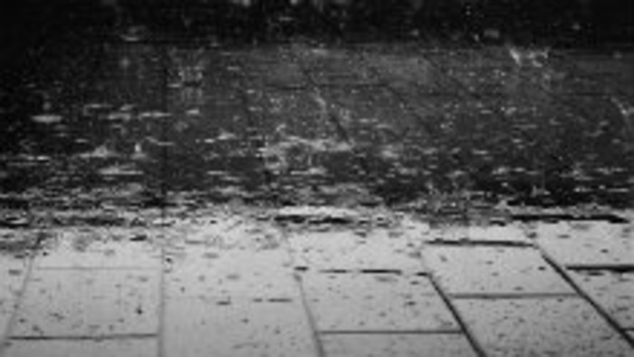 Veronika Šikulová: Petrichor 