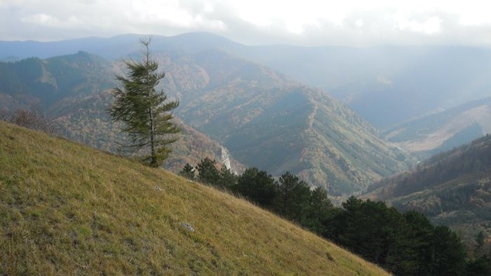 Na Čipčí, vrchu Lúčanskej Malej Fatry