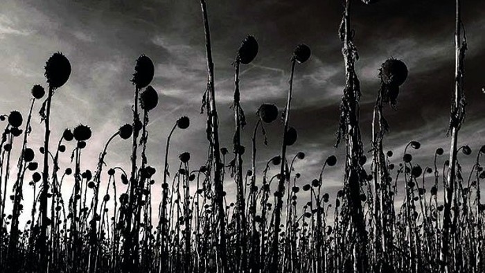 Hudba na tento týždeň: Dead Can Dance