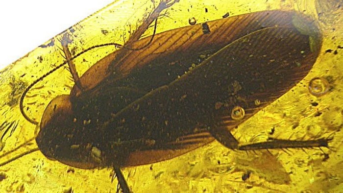 Digging up the Past Brings Spectacular Finds