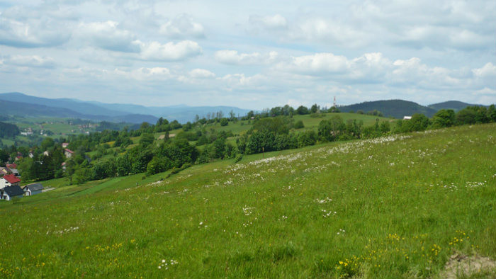 06.JPG