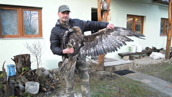 Záchranná stanica pre voľne žijúce zvieratá v Zázrivej