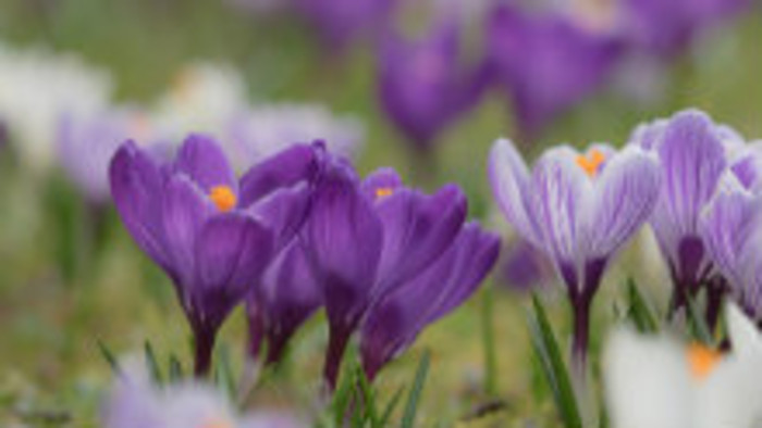 Rádiovíkend 16. 3. 2019 - pozvánky