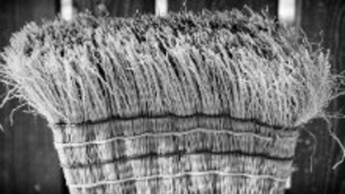 Bratislavu upratujú aj bezdomovci