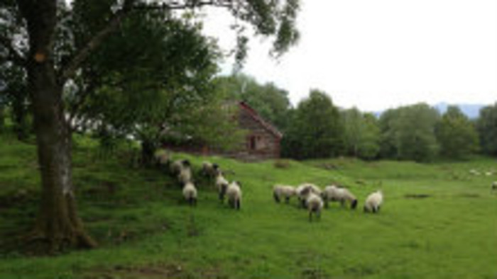Život na kopaniach a lazoch – 1. časť