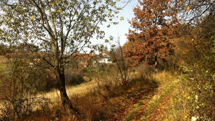 Ku koreňom – príbeh Zaježovej - 2. časť