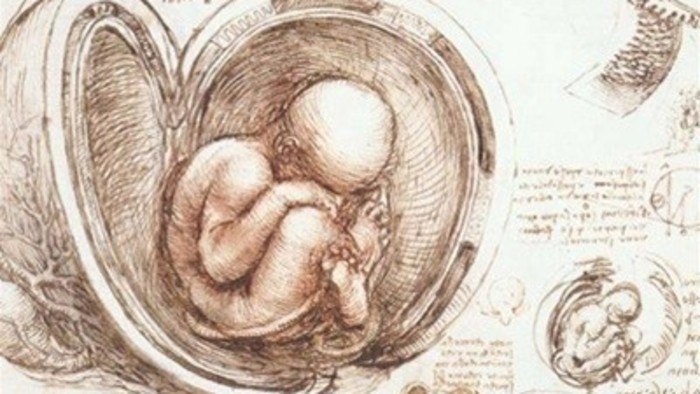Élet és halál kérdései – bioetikai összeállítás