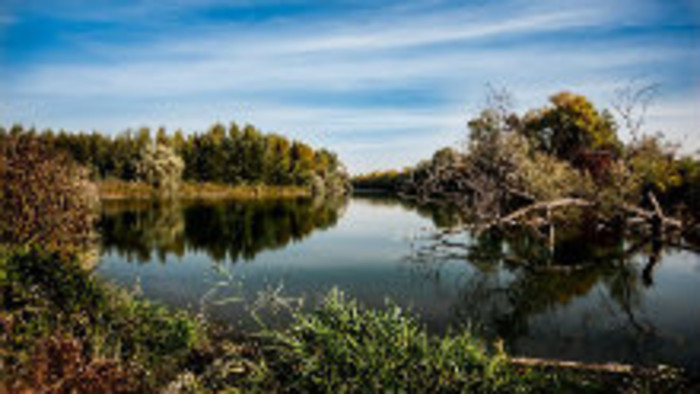 Rádiovíkend 29. 6. 2019 - pozvánky