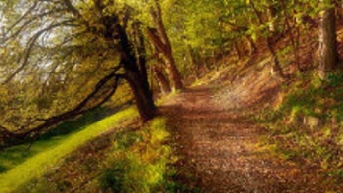 Rádiovíkend 18. 11. 2017 - pozvánky