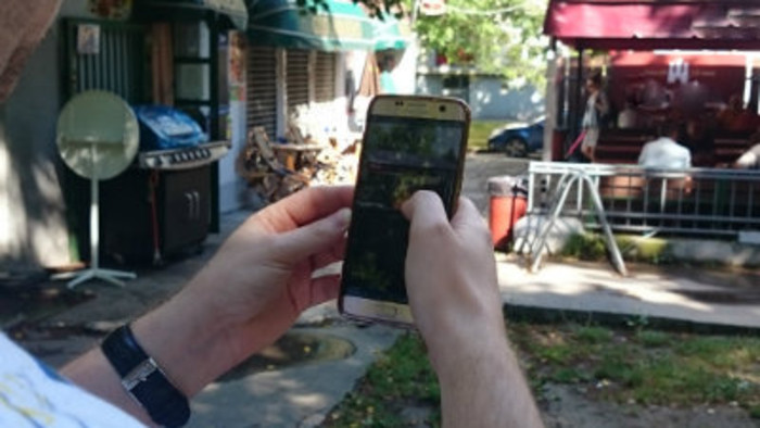 pokemon-2.jpg
