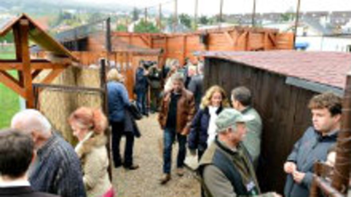 Nová rehabilitačná stanica pre zvieratá v Nitre