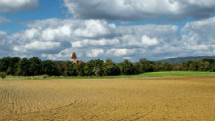 Zorané pole