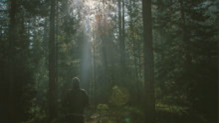 Ako na príval migrantov reagujú prevádzači u nás?