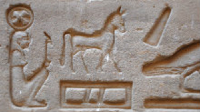 Archeologické objavy roka – 5. časť