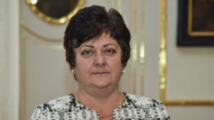 K veci: Ombudsmanka - výročná správa