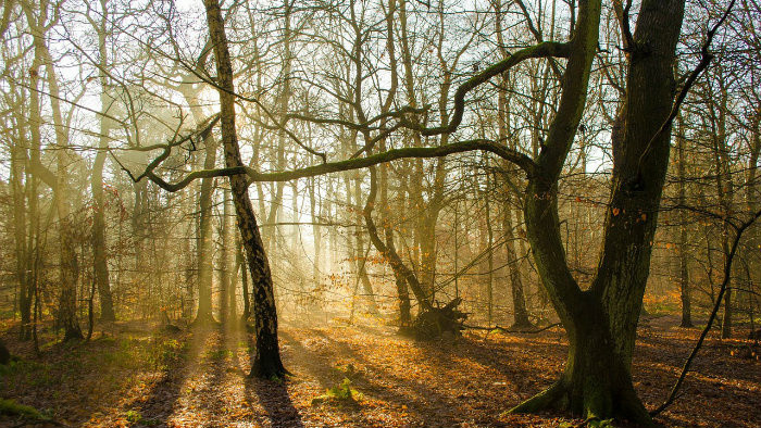 Rádiovíkend 26.11.2016 – pozvánky