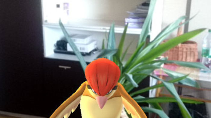 pokemon-1.jpg