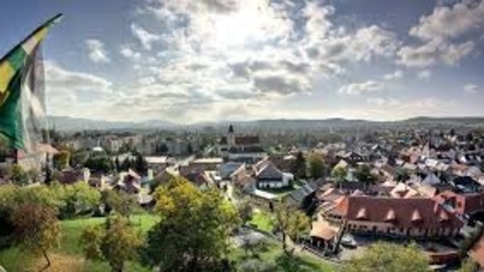 Önkormányzatok helyzete a koronavírus- járvány miatt