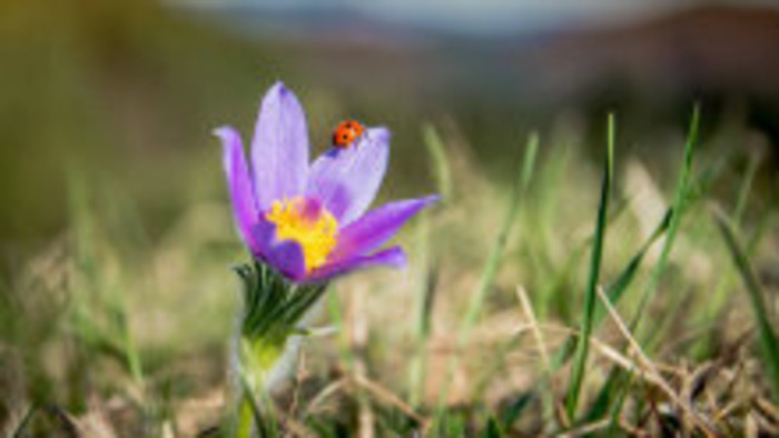 Rádiovíkend 23. 3. 2019 - pozvánky