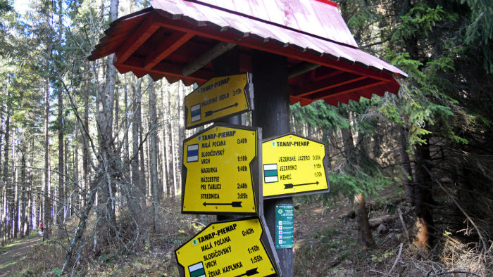 DSCN6064.jpg