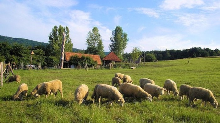 Na salaši v Sklených Tepliciach
