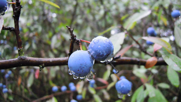 Rádiovíkend 10.10.2015 – pozvánky