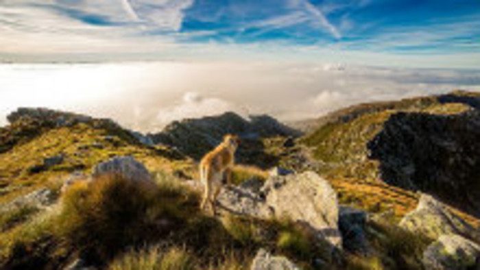 Rádiovíkend 15. 6. 2019 - pozvánky