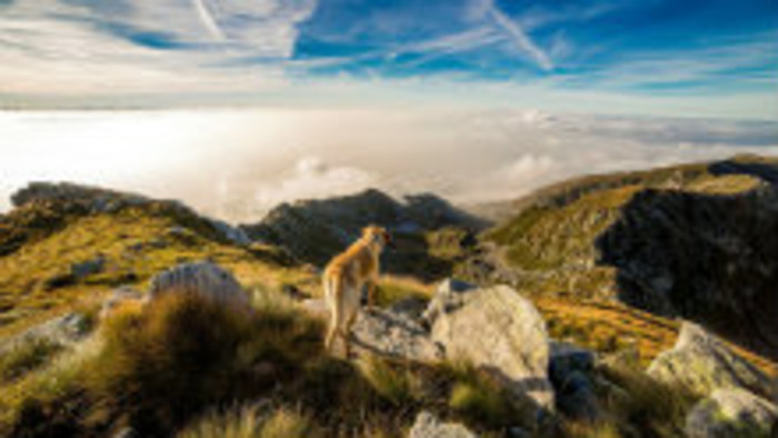 Rádiovíkend 13. 4. 2019 - pozvánky